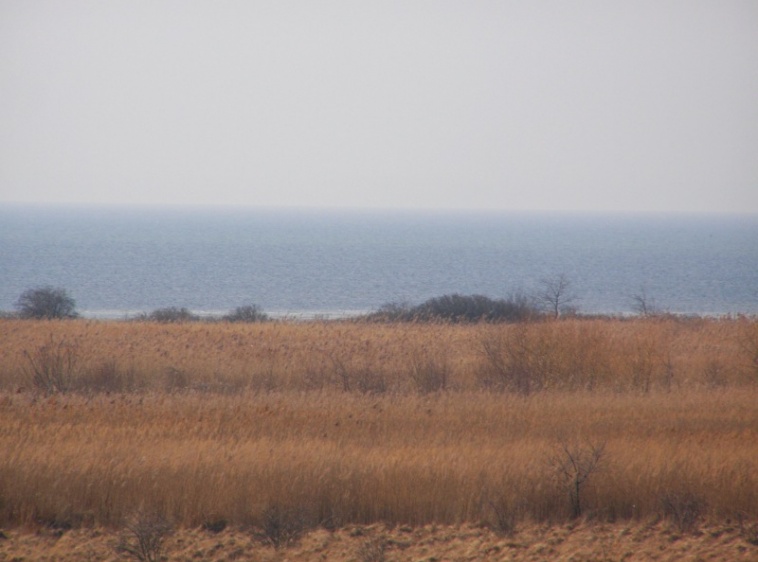 Pokoje Gościnne Jadwiga Necel widok zatoki Puckiej z południowego balkonu?v=1.0.1