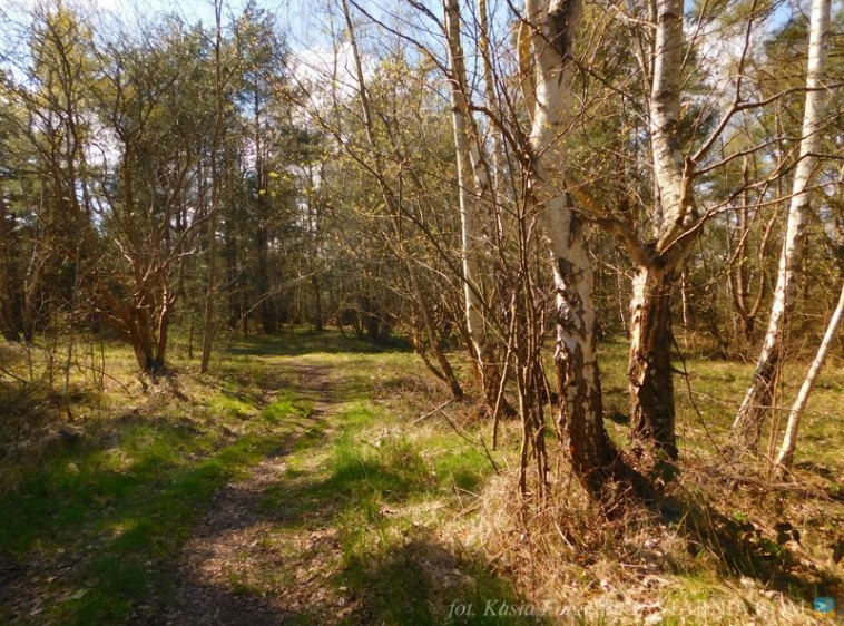 Uroczysko Każa - ścieżka przyrodnicza w Kuźnicy